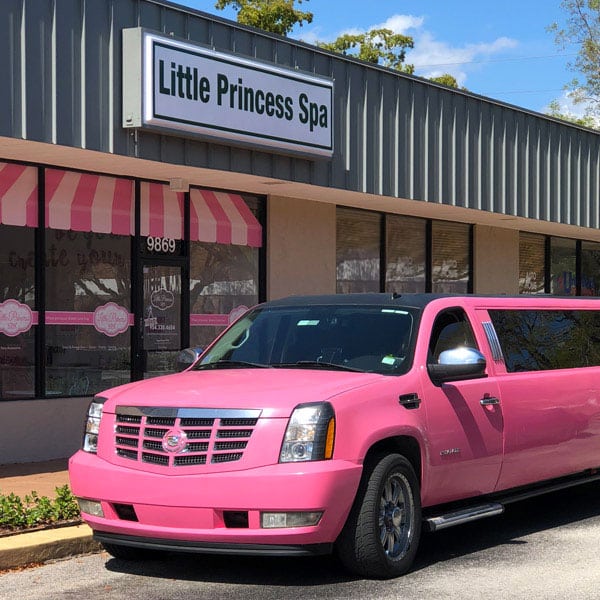 Barbie limo sale hotsell