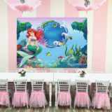 Little Princess Spa Pembroke Pines Backdrop Panel Options
