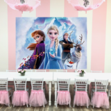 Little Princess Spa Pembroke Pines Backdrop Panel Options